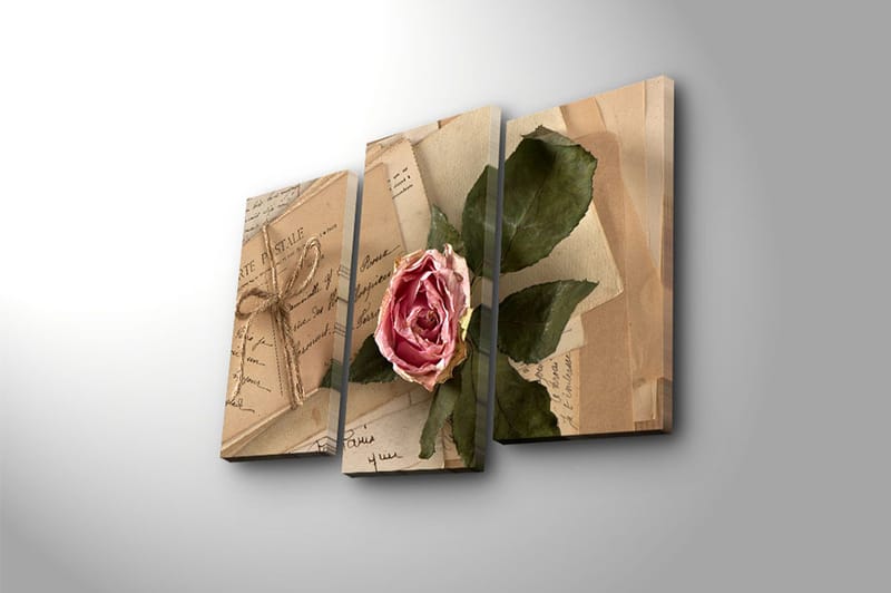 CANVASTAVLA 3-pack Flerfärgad 20x39 cm - Inredning & dekor - Tavlor & konst - Canvastavla