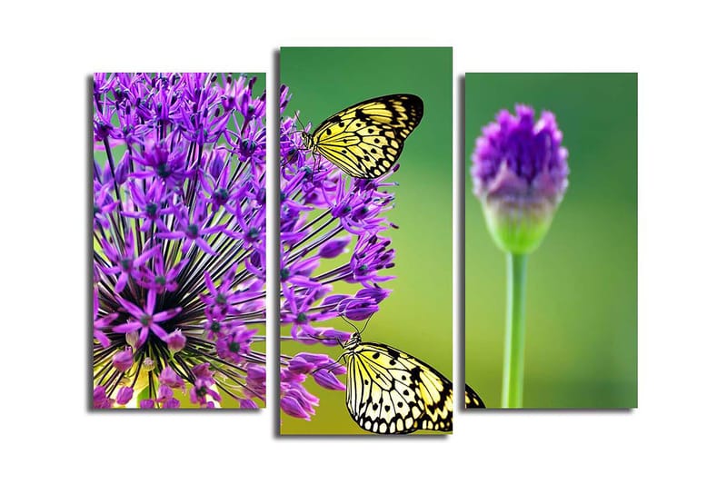 CANVASTAVLA 3-pack Flerfärgad 20x39 cm - Inredning & dekor - Tavlor & konst - Canvastavla