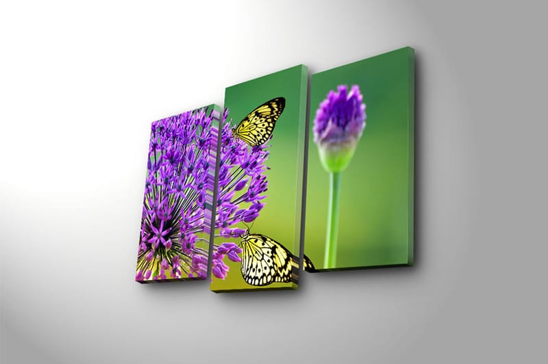 CANVASTAVLA 3-pack Flerfärgad 20x39 cm - Inredning & dekor - Tavlor & konst - Canvastavla
