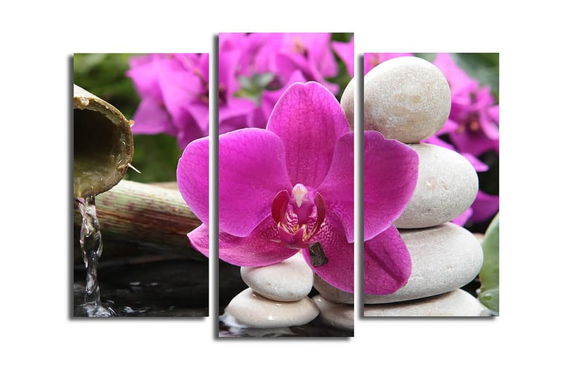 CANVASTAVLA 3-pack Flerfärgad 20x39 cm - Inredning & dekor - Tavlor & konst - Canvastavla