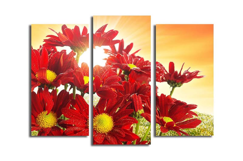 CANVASTAVLA 3-pack Flerfärgad 20x39 cm - Inredning & dekor - Tavlor & konst - Canvastavla