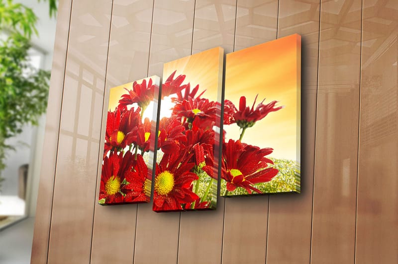 CANVASTAVLA 3-pack Flerfärgad 20x39 cm - Inredning & dekor - Tavlor & konst - Canvastavla