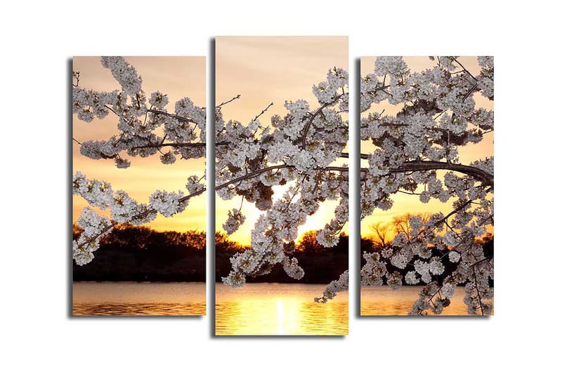 CANVASTAVLA 3-pack Flerfärgad 20x39 cm - Inredning & dekor - Tavlor & konst - Canvastavla