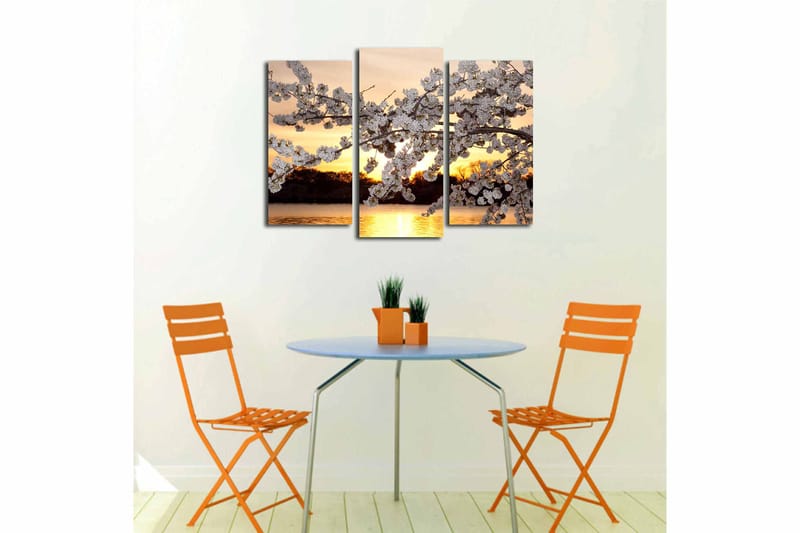 CANVASTAVLA 3-pack Flerfärgad 20x39 cm - Inredning & dekor - Tavlor & konst - Canvastavla