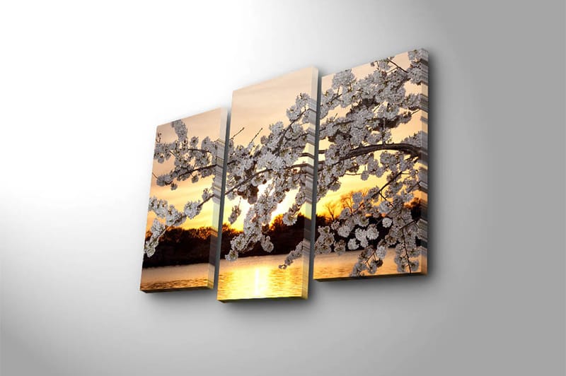 CANVASTAVLA 3-pack Flerfärgad 20x39 cm - Inredning & dekor - Tavlor & konst - Canvastavla