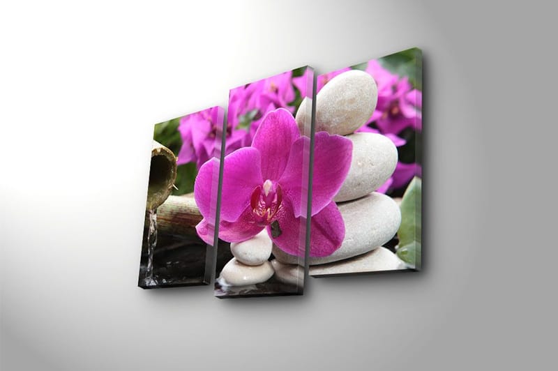 Canvastavla 3-pack Flerfärgad - 20x39 cm - Inredning & dekor - Tavlor & konst - Canvastavla