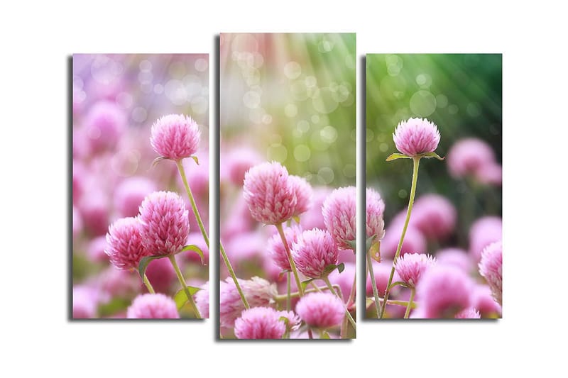 Canvastavla 3-pack Flerfärgad - 20x39 cm - Inredning & dekor - Tavlor & konst - Canvastavla