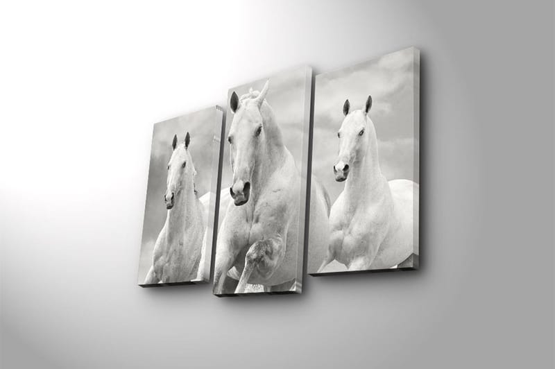 Canvastavla 3-pack Flerfärgad - 20x39 cm - Inredning & dekor - Tavlor & konst - Canvastavla
