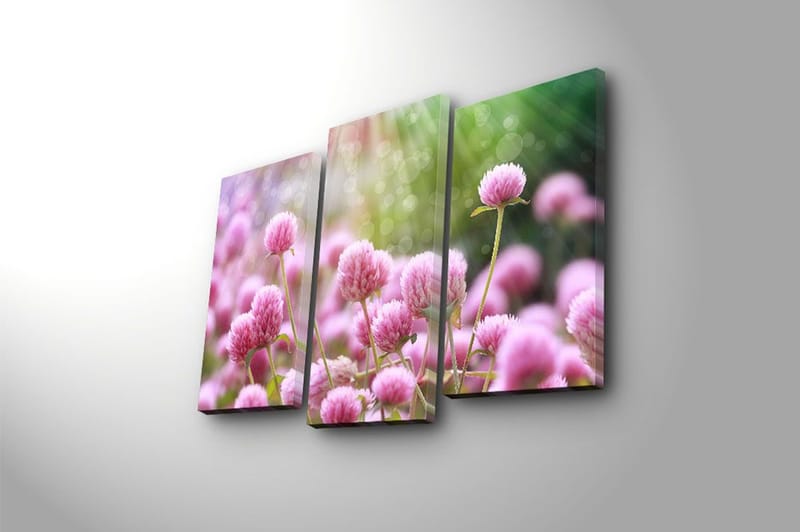 Canvastavla 3-pack Flerfärgad - 20x39 cm - Inredning & dekor - Tavlor & konst - Canvastavla