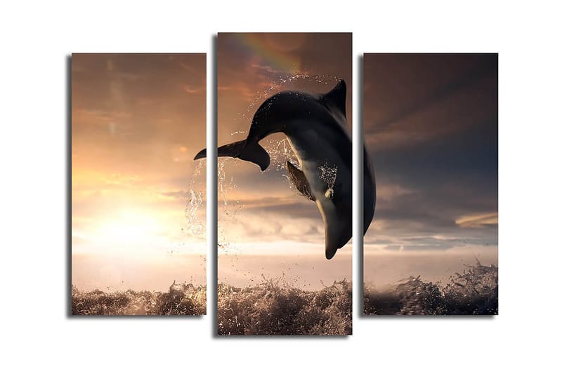 Canvastavla 3-pack Flerfärgad, 20x39 cm