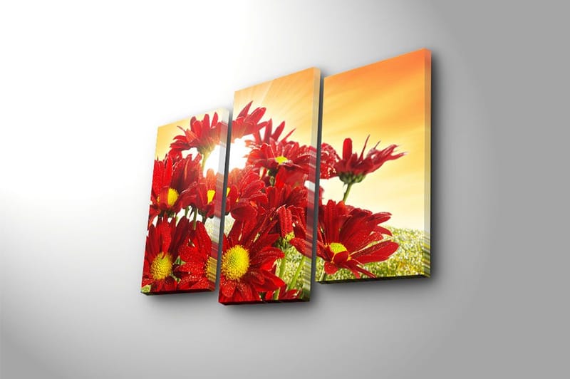 Canvastavla 3-pack Flerfärgad - 20x39 cm - Inredning & dekor - Tavlor & konst - Canvastavla