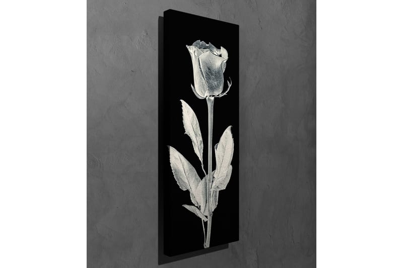 Canvastavla 30x80 cm - Vit ros mot svart bakgrund - Vit / Svart - Inredning & dekor - Tavlor & konst - Canvastavla