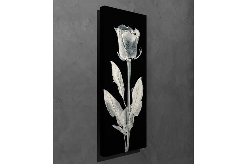 Canvastavla 30x80 cm - Vit ros mot svart bakgrund - Vit / Svart - Inredning & dekor - Tavlor & konst - Canvastavla
