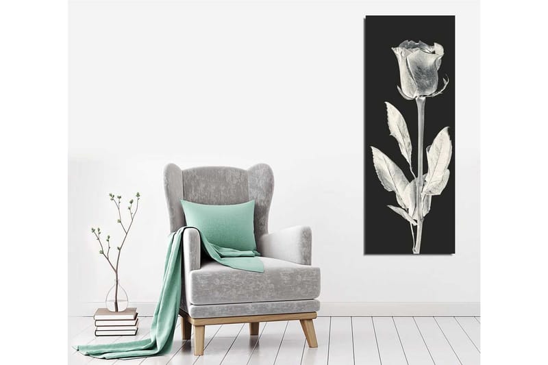 Canvastavla 30x80 cm - Vit ros mot svart bakgrund - Vit / Svart - Inredning & dekor - Tavlor & konst - Canvastavla
