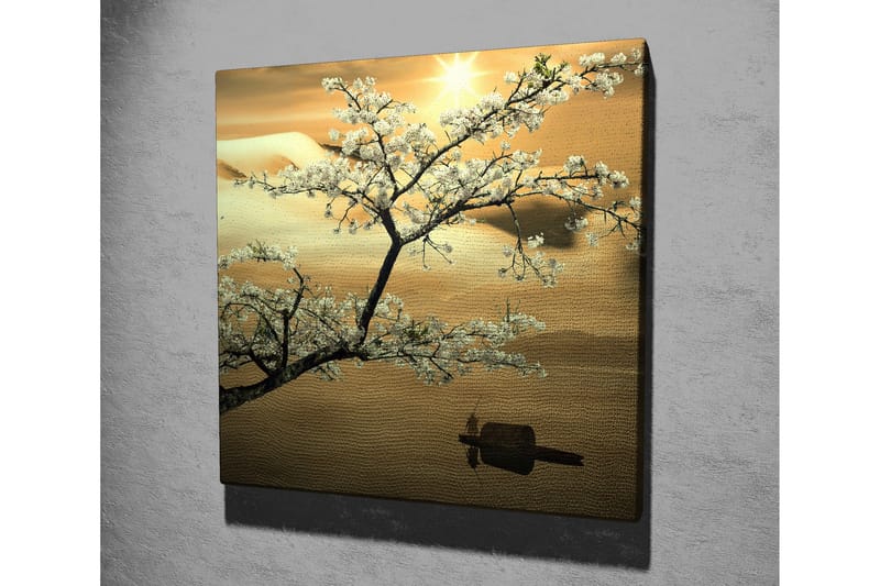 Canvastavla 45x45 cm - Blommande körsbärsträd vid solnedgången - Vit / Guld / Grön - Inredning & dekor - Tavlor & konst - Canvastavla