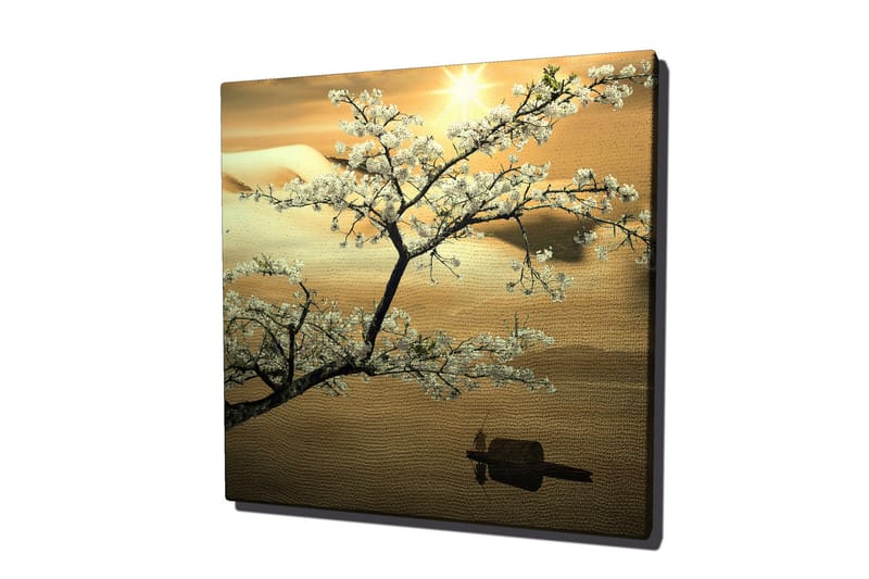 Canvastavla 45x45 cm - Blommande körsbärsträd vid solnedgången - Vit / Guld / Grön - Inredning & dekor - Tavlor & konst - Canvastavla