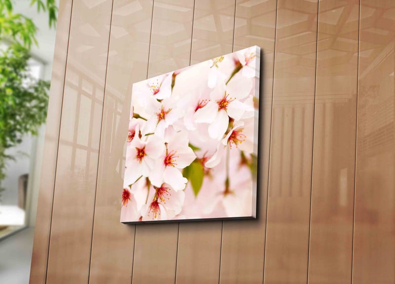 Canvastavla 45x45 cm - Blomstrande körsbärsblommor i pastelltoner - Ljusrosa / Vit / Grön - Inredning & dekor - Tavlor & konst - Canvastavla
