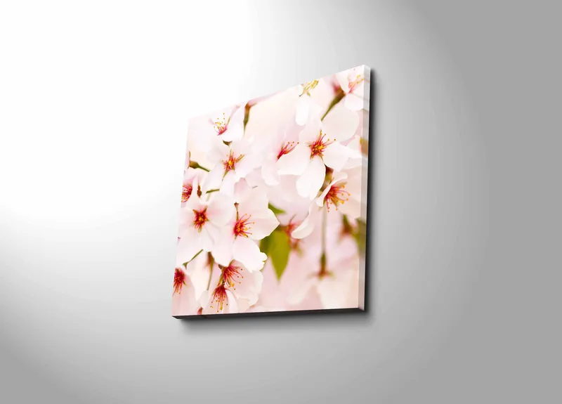 Canvastavla 45x45 cm - Blomstrande körsbärsblommor i pastelltoner - Ljusrosa / Vit / Grön - Inredning & dekor - Tavlor & konst - Canvastavla