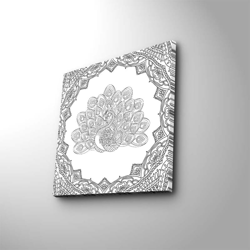 Canvastavla 45x45 cm - Detaljerad fjäderdräkt av en påfågel i en ornamenterad ram - Svart / Vitt - Inredning & dekor - Tavlor & konst - Canvastavla