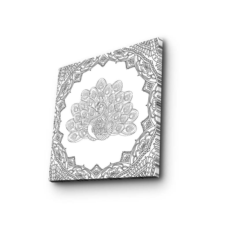 Canvastavla 45x45 cm - Detaljerad fjäderdräkt av en påfågel i en ornamenterad ram - Svart / Vitt - Inredning & dekor - Tavlor & konst - Canvastavla