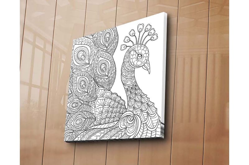 Canvastavla 45x45 cm - Detaljerad fjäderfä med intrikata mönster - Svart / Vitt - Inredning & dekor - Tavlor & konst - Canvastavla