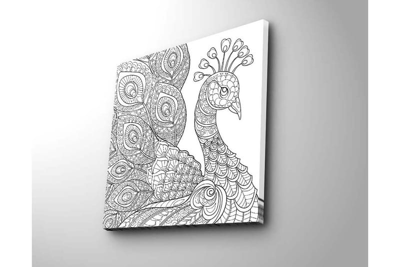 Canvastavla 45x45 cm - Detaljerad fjäderfä med intrikata mönster - Svart / Vitt - Inredning & dekor - Tavlor & konst - Canvastavla
