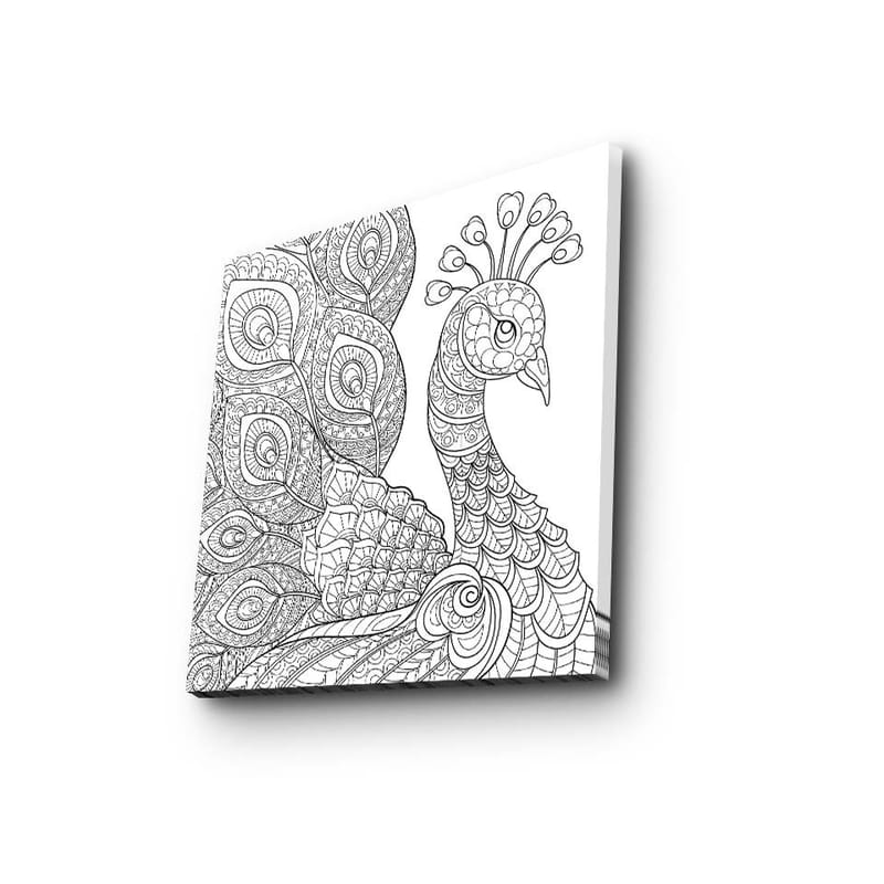 Canvastavla 45x45 cm - Detaljerad fjäderfä med utsmyckade fjädrar - Svart / Vitt - Inredning & dekor - Tavlor & konst - Canvastavla