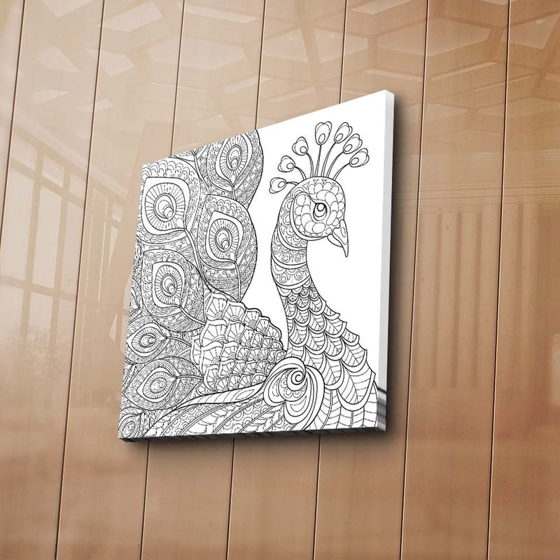 Canvastavla 45x45 cm - Detaljerad fjäderfä med utsmyckade fjädrar - Svart / Vitt - Inredning & dekor - Tavlor & konst - Canvastavla