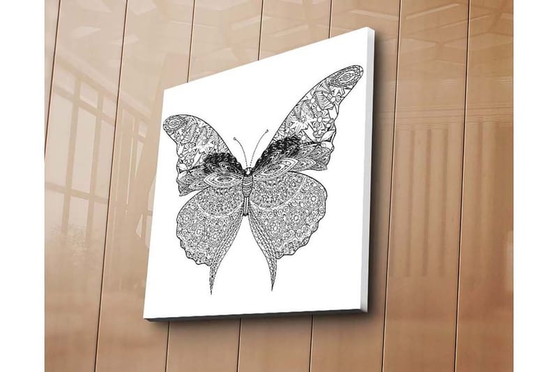 Canvastavla 45x45 cm - Detaljerad fjäril med intrikata mönster, Svart / Vitt