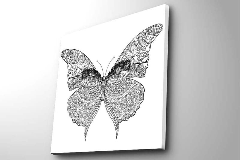 Canvastavla 45x45 cm - Detaljerad fjäril med intrikata mönster - Svart / Vitt - Inredning & dekor - Tavlor & konst - Canvastavla
