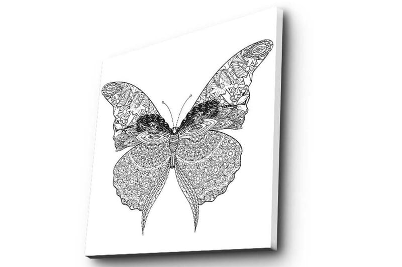 Canvastavla 45x45 cm - Detaljerad fjäril med intrikata mönster - Svart / Vitt - Inredning & dekor - Tavlor & konst - Canvastavla