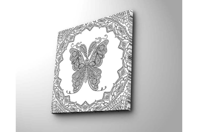 Canvastavla 45x45 cm - Detaljerad fjäril med ornamentala mönster - Svart / Vitt - Inredning & dekor - Tavlor & konst - Canvastavla