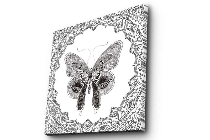 Canvastavla 45x45 cm - Detaljerad fjäril omgiven av ornamentala mönster - Svart / Vitt - Inredning & dekor - Tavlor & konst - Canvastavla