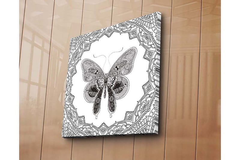 Canvastavla 45x45 cm - Detaljerad fjäril omgiven av ornamentala mönster, Svart / Vitt