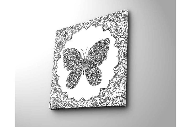 Canvastavla 45x45 cm - Detaljerad fjäril omgiven av ornamentala mönster - Svart / Vitt - Inredning & dekor - Tavlor & konst - Canvastavla