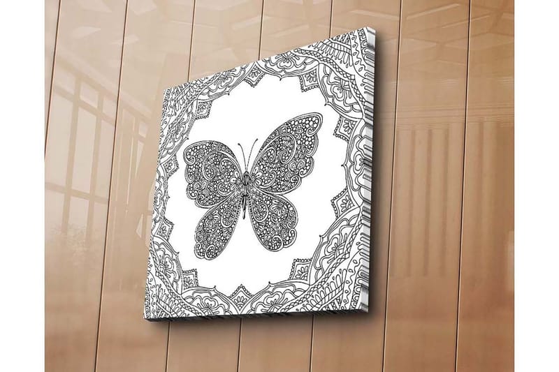 Canvastavla 45x45 cm - Detaljerad fjäril omgiven av ornamentala mönster - Svart / Vitt - Inredning & dekor - Tavlor & konst - Canvastavla