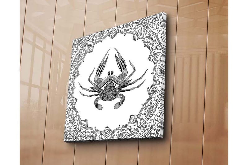 Canvastavla 45x45 cm - Detaljerad illustration av en krabba omgiven av ornamentala mönster - Svart / Vitt - Inredning & dekor - Tavlor & konst - Canvastavla