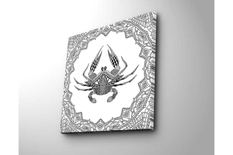 Canvastavla 45x45 cm - Detaljerad illustration av en krabba omgiven av ornamentala mönster - Svart / Vitt - Inredning & dekor - Tavlor & konst - Canvastavla