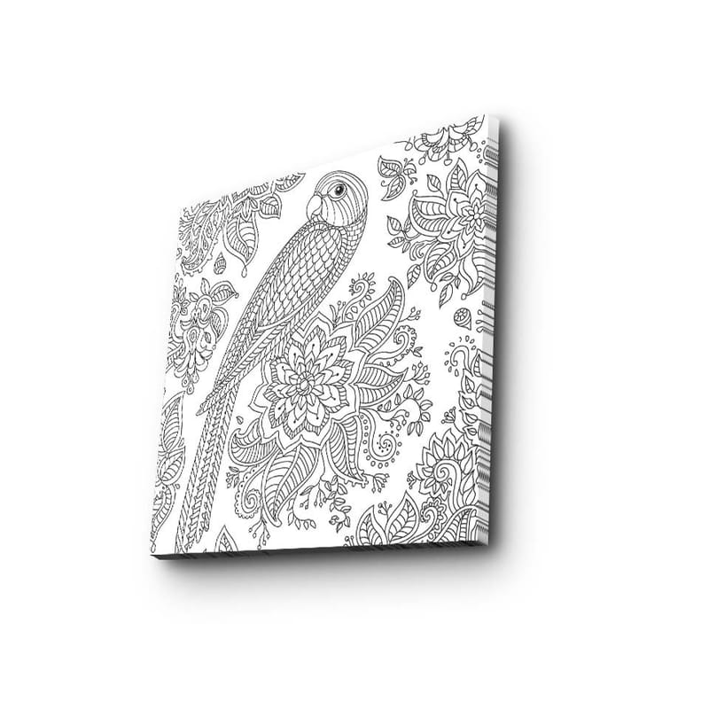 Canvastavla 45x45 cm - Detaljerad illustration av en papegoja omgiven av blommor och mönster - Svart / Vitt - Inredning & dekor - Tavlor & konst - Canvastavla