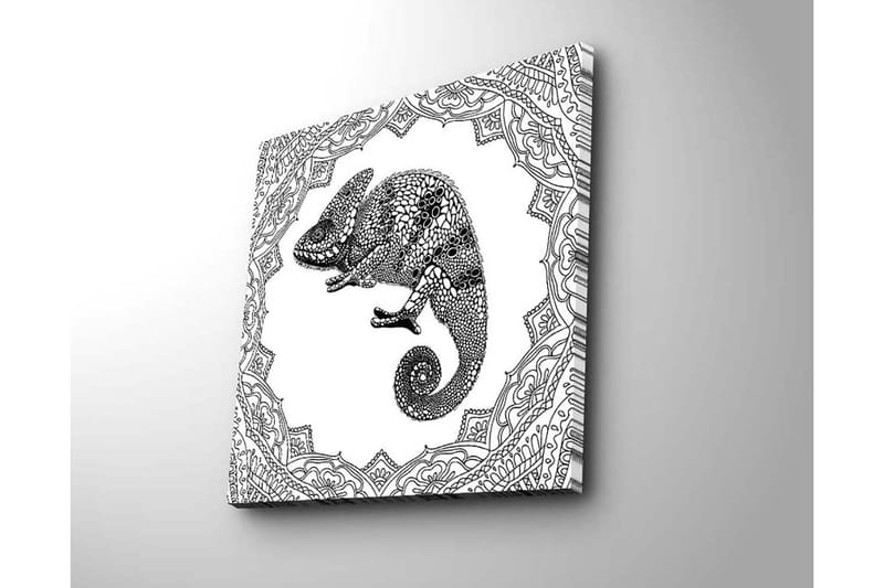 Canvastavla 45x45 cm - Detaljerad illustration av ett chameleon i en ornamenterad ram - Svart / Vitt - Inredning & dekor - Tavlor & konst - Canvastavla