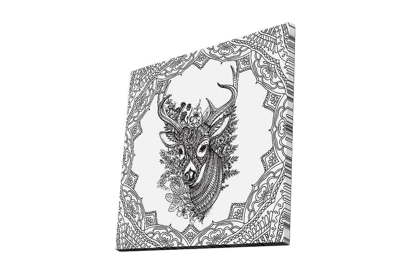 Canvastavla 45x45 cm - Detaljerad illustration av ett hjorthuvud omgiven av ornamentala mönster - Svart / Vitt - Inredning & dekor - Tavlor & konst - Canvastavla