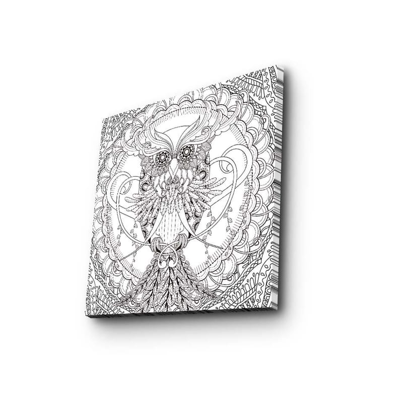 Canvastavla 45x45 cm - Detaljerad och stiliserad uggla omgiven av ornamentala mönster - Svart / Vitt - Inredning & dekor - Tavlor & konst - Canvastavla