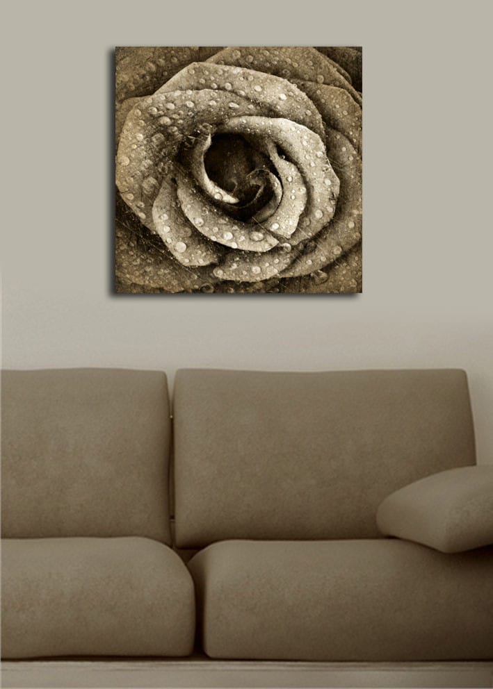 Canvastavla 45x45 cm - Detaljerad ros med vattendroppar - Grå / Beige - Inredning & dekor - Tavlor & konst - Canvastavla