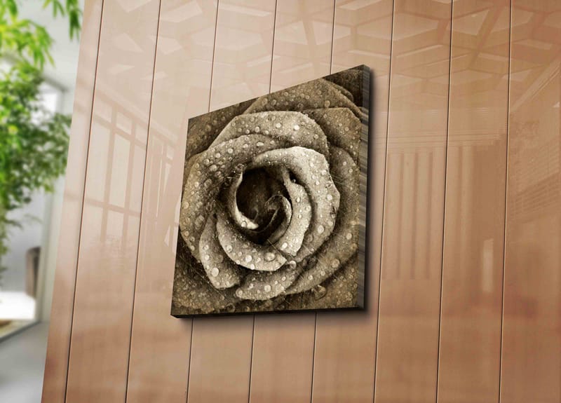 Canvastavla 45x45 cm - Detaljerad ros med vattendroppar - Grå / Beige - Inredning & dekor - Tavlor & konst - Canvastavla