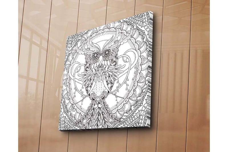 Canvastavla 45x45 cm - Detaljerad svartvit uggla med intrikata mönster, Svart / Vitt