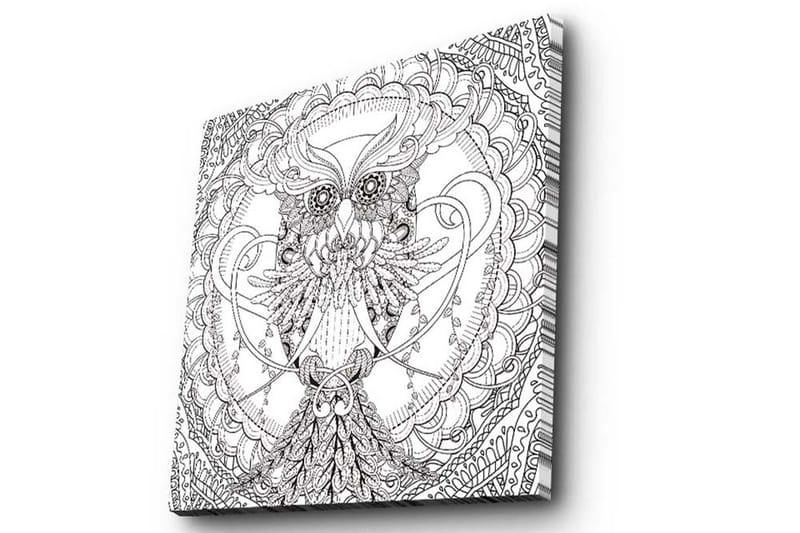 Canvastavla 45x45 cm - Detaljerad svartvit uggla med intrikata mönster - Svart / Vitt - Inredning & dekor - Tavlor & konst - Canvastavla