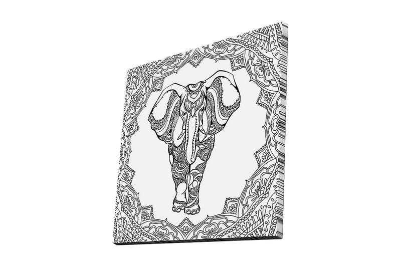Canvastavla 45x45 cm - Elefant i detaljrik mandalamönster - Svart / Vitt - Inredning & dekor - Tavlor & konst - Canvastavla