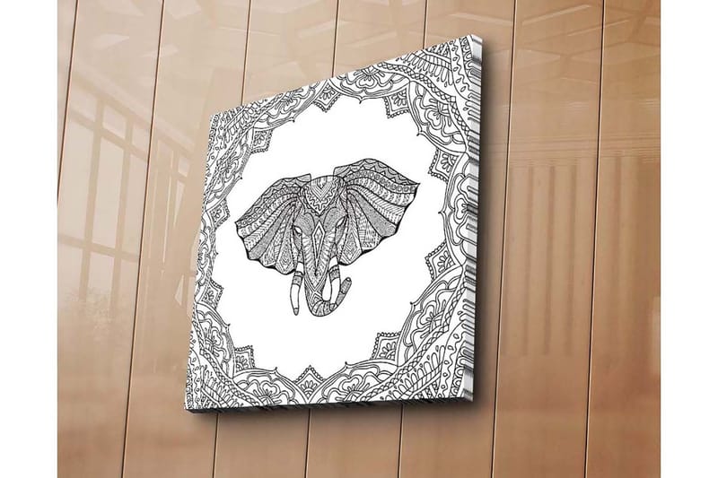 Canvastavla 45x45 cm - Elefant med intrikata mönster i en dekorativ ram - Svart / Vitt - Inredning & dekor - Tavlor & konst - Canvastavla