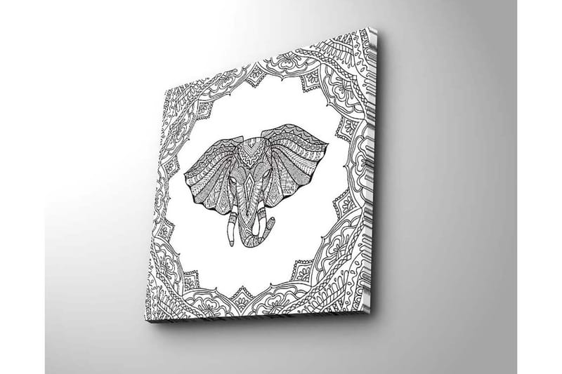 Canvastavla 45x45 cm - Elefant med intrikata mönster i en dekorativ ram - Svart / Vitt - Inredning & dekor - Tavlor & konst - Canvastavla