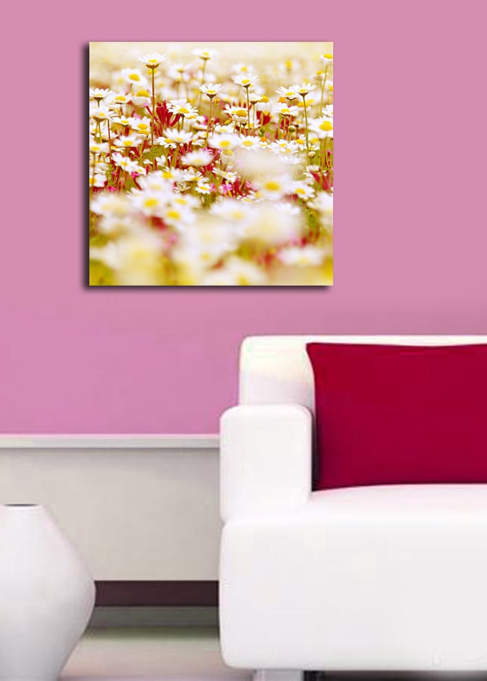 Canvastavla 45x45 cm - Fält av blommor i olika nyanser av vitt och gult - Vitt / Gult / Grönt - Inredning & dekor - Tavlor & konst - Canvastavla